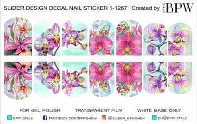 Слайдер-дизайн Орхидеи из каталога Цветные на светлый фон, в интернет-магазине BPW.style