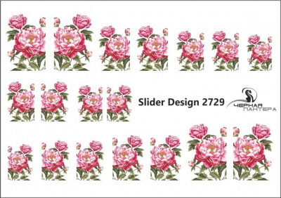 Слайдер-дизайн Пионы из каталога Цветные на светлый фон, в интернет-магазине BPW.style