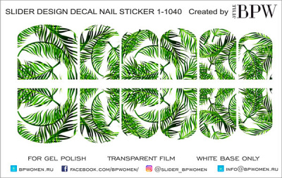 Слайдер-дизайн Пальмовые листья из каталога Цветные на светлый фон, в интернет-магазине BPW.style