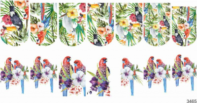 Слайдер-дизайн Тропические птицы из каталога Цветные на светлый фон, в интернет-магазине BPW.style