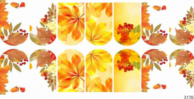 Слайдер-дизайн Осень из каталога Цветные на светлый фон, в интернет-магазине BPW.style