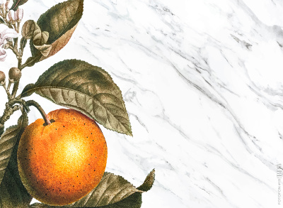 Фотофон 19 из каталога Фотофоны, в интернет-магазине BPW.style