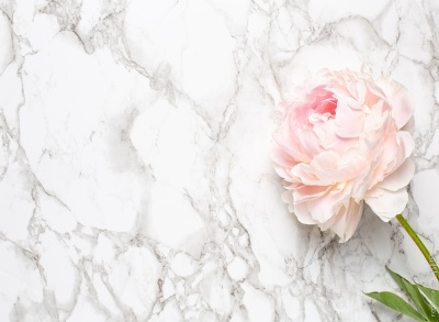 Фотофон 8 из каталога Фотофоны, в интернет-магазине BPW.style