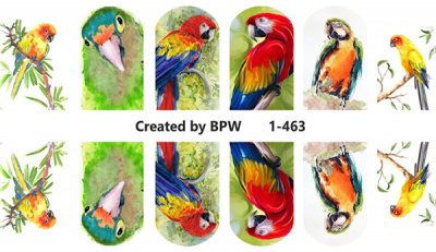 Слайдер-дизайн Попугаи из каталога Цветные на светлый фон, в интернет-магазине BPW.style