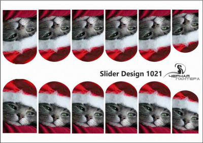 Слайдер-дизайн Санта-кот из каталога Цветные на светлый фон, в интернет-магазине BPW.style