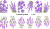 Слайдер-дизайн Лаванда из каталога Цветные на светлый фон, в интернет-магазине BPW.style