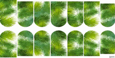 Слайдер-дизайн Еловые ветви из каталога Цветные на светлый фон, в интернет-магазине BPW.style