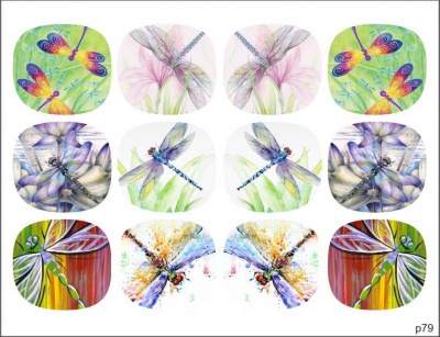 Слайдер-дизайн Стрекозы из каталога Цветные на светлый фон, в интернет-магазине BPW.style