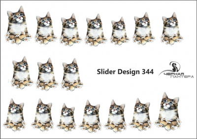 Слайдер-дизайн Котики из каталога Цветные на светлый фон, в интернет-магазине BPW.style