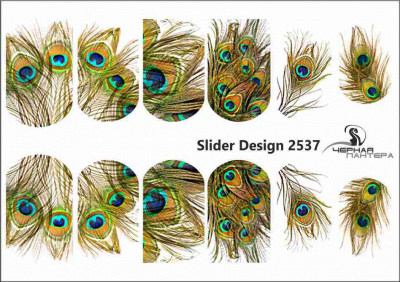 Слайдер-дизайн Перья павлина из каталога Цветные на светлый фон, в интернет-магазине BPW.style