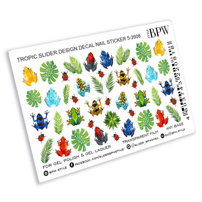 Слайдер-дизайн Тропические лягушки из каталога Цветные на любой фон, в интернет-магазине BPW.style