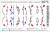Слайдер-дизайн Цветы из каталога Цветные на любой фон, в интернет-магазине BPW.style