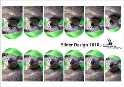 Слайдер-дизайн Коала из каталога Цветные на светлый фон, в интернет-магазине BPW.style