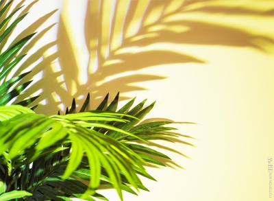 Фотофон 25 из каталога Фотофоны, в интернет-магазине BPW.style