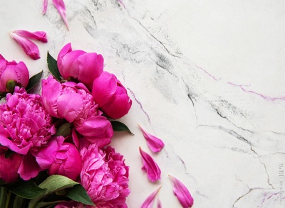 Фотофон 9 из каталога Фотофоны, в интернет-магазине BPW.style