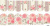 Слайдер-дизайн Кружево и пионы из каталога Цветные на светлый фон, в интернет-магазине BPW.style